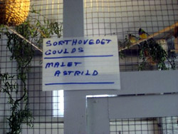 sommerudflugt region fyn 2012 085r